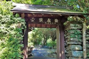 Gallery image