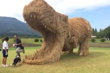 Dinossauros de Palha em Niigata! 2026