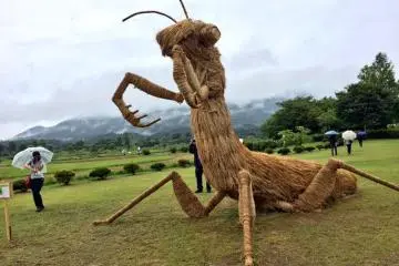 It's a...praying mantis?? (Photo: <a href="http://twitter.com/amymauscd/status/638531608010584064" target="_blank" rel="noreferrer noopener nofollow">amymauscd</a>)