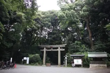 Gallery image