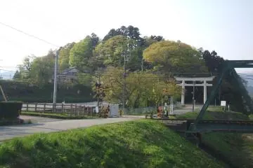 Gallery image