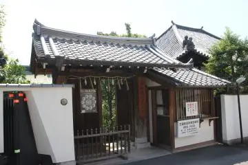 Gallery image