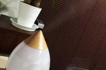 Humidifier (Photo: Bret de Colebi)
