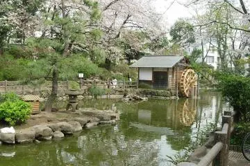 A Hidden "Peace" of Shibuya