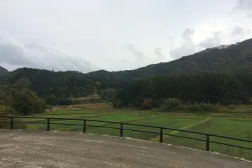 The view of the fields in Ouchijuku near the soba making studio. (Photo: Sarah Elisabeth Chaney)
