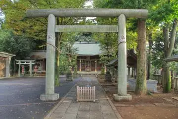 Gallery image