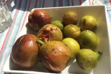 Kitchen Sawa: A Fig Cafe