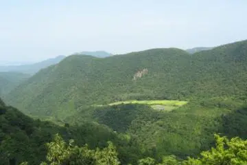 Midway view.