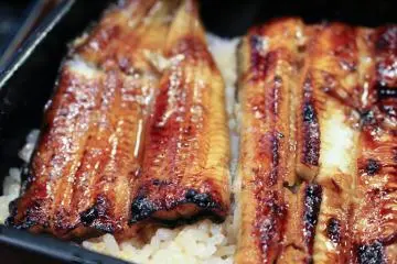 Grilled Eel at Kawatoyo