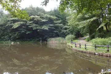 Walking Yokohama Parks & Waterways