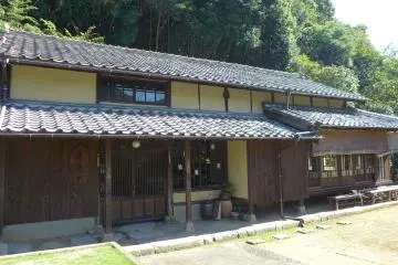 Gallery image