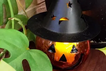 Cutie in a witches hat (Photo: Olga Kaneda)