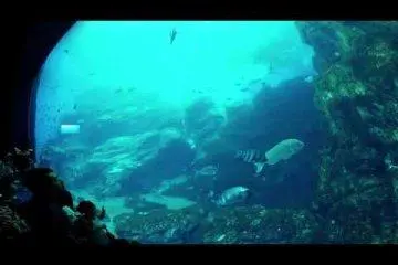 Sendai Umino-Mori Aquarium