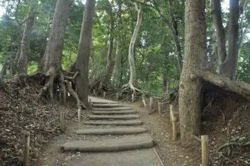 Climbing Mt Takao