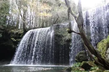 Exploring Kyushu by Campervan