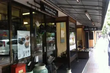 Curio Shop