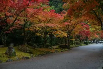 Momijidani Park at Kintai