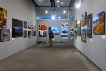 Gallery image