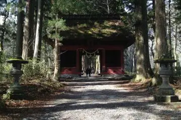 Gallery image
