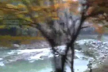 Sagano Romantic Railway, Arashiyama