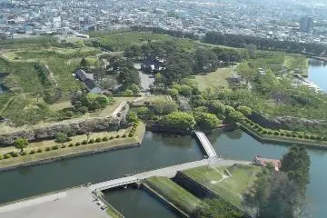 Gallery image