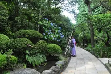 Admiring the landscaping in the Hokokuji entrance path (Photo: Cliff Bernstein)