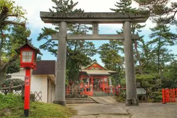 Gallery image