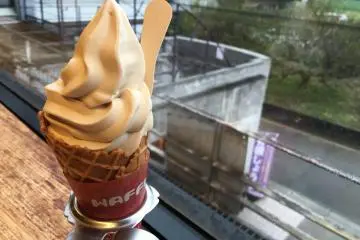 Soy Sauce Kingdom in Saitama
