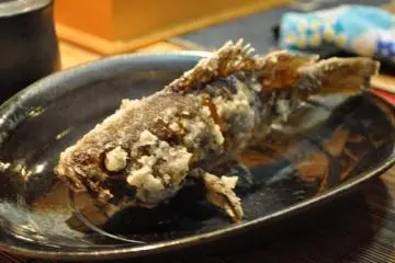 Tempura fried rock-fish (Photo: Cliff Bernstein)