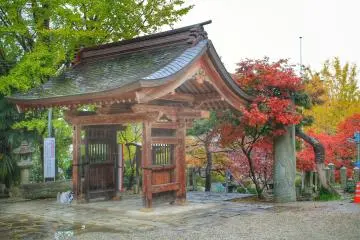Gallery image