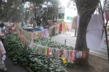 A rack of tanzaku written by spectators on Jozen-ji Dori in downtown Sendai (Photo: Chad Sealey)