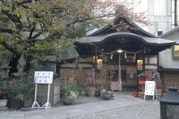 Gallery image