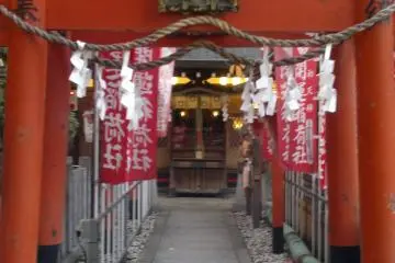 Gallery image