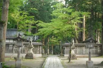 Gallery image