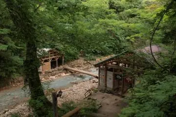The baths hidden in the rich foliage (Photo: Aric Denfield )