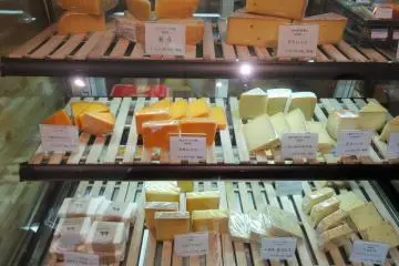 Gallery image