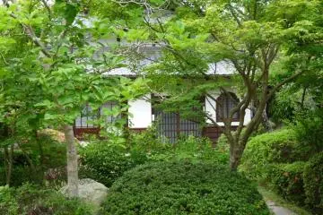 More on Kibi no Makabi Park
