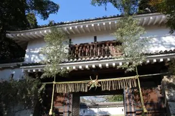 Gallery image