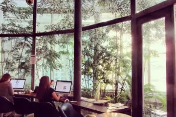 Wired Cafe 360 [结束]