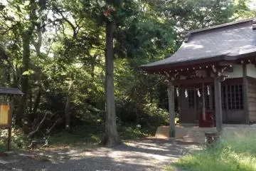 Gallery image