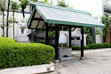 Gallery image