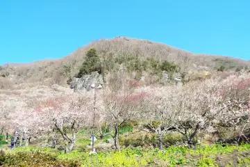 Yugawara Bairin - Party of Plum