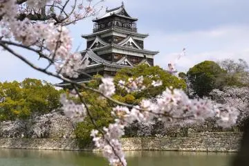 Enjoy sakura—and Wi-Fi access—at the tower of Hiroshima Castle. (Photo: <a href="http://en.japantravel.com/hiroshima/sakura-beauty-in-hiroshima/4118" target="_blank" rel="noreferrer noopener nofollow">JJ Walsh</a>)