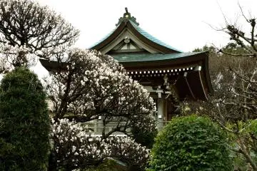 Gallery image