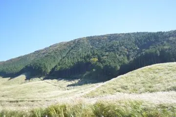 Beautiful silver grass surrounded by highlands can be seen at the start of October (Photo: Odilia Djoenar)