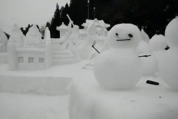 Tokamachi Snow Festival 2016