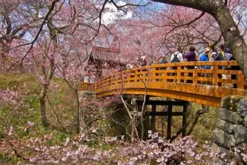 Takato Castle Ruins Park