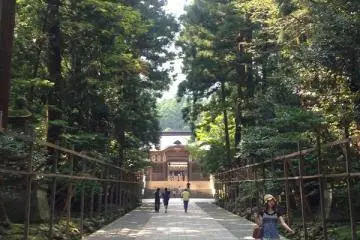 Gallery image