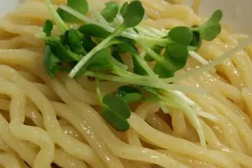 Tsukemen noodles are served separately from the broth (Photo: Odilia Djoenar)