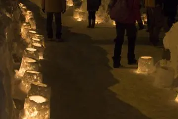 A Romantic Winter Walk